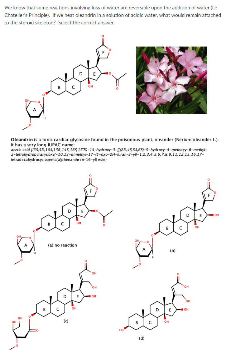 We know that some reactions involving loss of water are reversible upon the addition of water (Le
Chatelier's Principle). If we heat oleandrin in a solution of acidic water, what would remain attached
to the steroid skeleton? Select the correct answer.
E
он
он
A
Oleandrin is a toxic cardiac glycoside found in the poisonous plant, oleander (Nerium oleander L).
It has a very long IUPAC name:
acetic acid [(35,5R, 10S,13R,14S,16S, 17'R)-14-hydroxy-3-[[(2R,4S,5S,6S)-5-hydroxy-4-methoxy-6-methyl-
2-tetrahydropyranyl]oxy]-10,13-dimethyl-17-(5-oxo-2H-furan-3-y)-1,2,3,4,5,6,7,8,9,11,12,15,16,17-
tetradecahydrocyclopenta[a]phenanthren-16-yl) ester
F
D
E
D
E
OH
B
он
B
он
(a) no reaction
он
A
(b)
он
он
OH
он
OH
он
E
он
он
(c)
C
он
но
(d)
