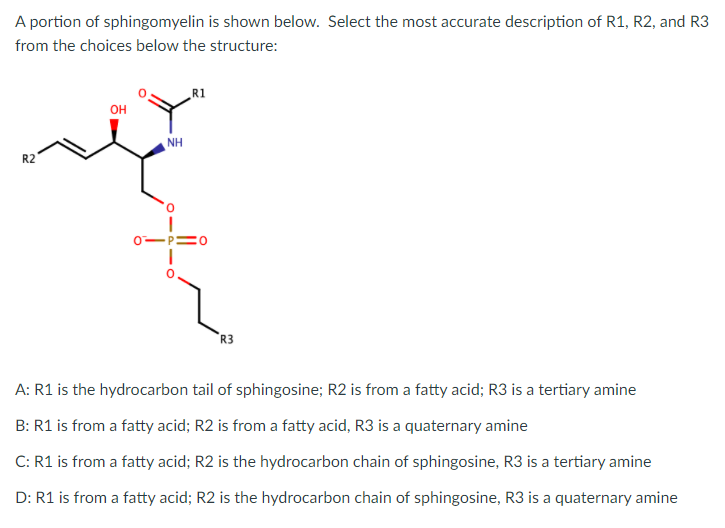 A portion of sphingomyelin is shown below. Select the most accurate description of R1, R2, and R3
from the choices below the structure:
R1
он
NH
R2
R3
A: R1 is the hydrocarbon tail of sphingosine; R2 is from a fatty acid; R3 is a tertiary amine
B: R1 is from a fatty acid; R2 is from a fatty acid, R3 is a quaternary amine
C: R1 is from a fatty acid; R2 is the hydrocarbon chain of sphingosine, R3 is a tertiary amine
D: R1 is from a fatty acid; R2 is the hydrocarbon chain of sphingosine, R3 is a quaternary amine
