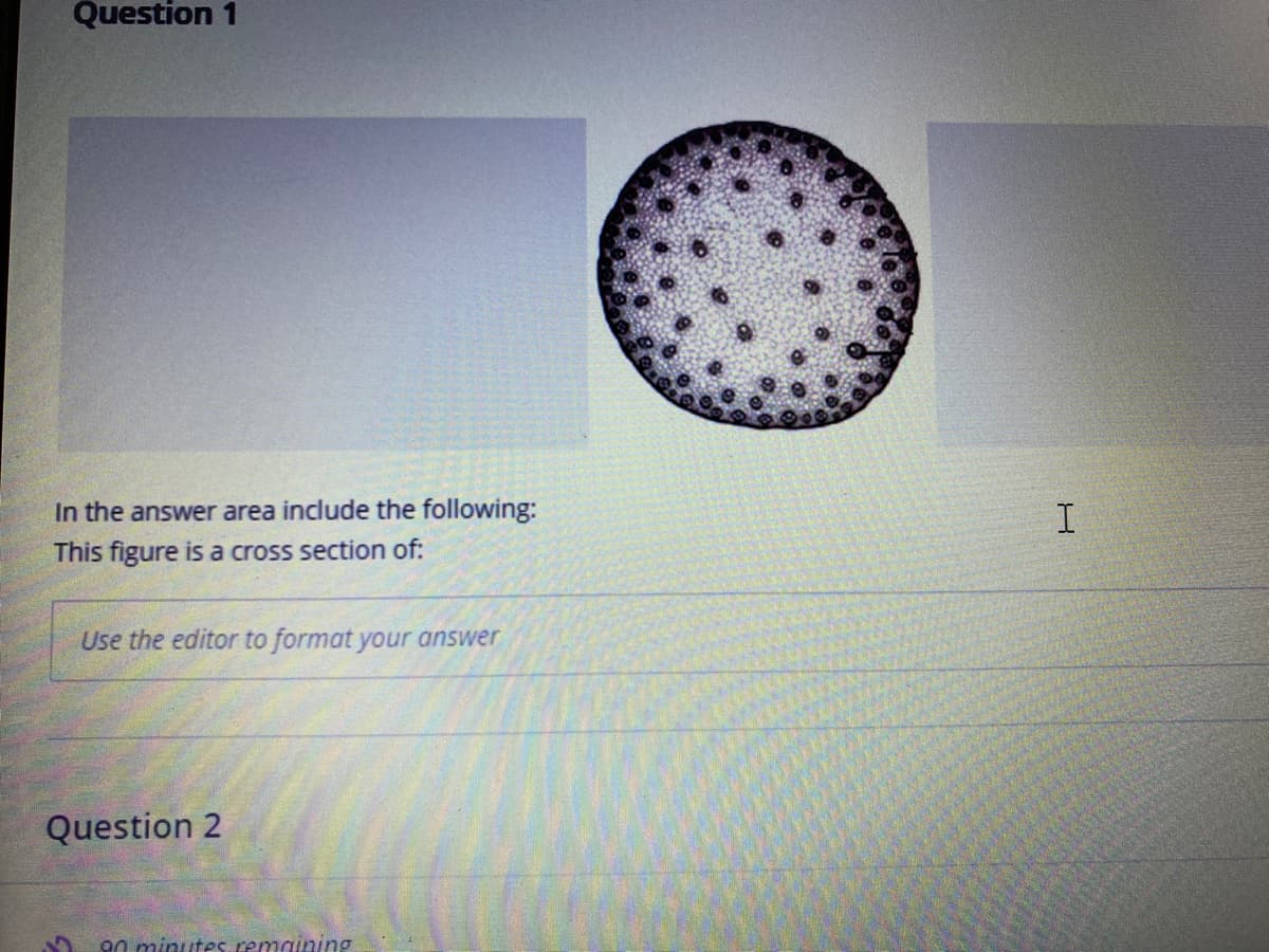 Question 1
In the answer area include the following:
I
This figure is a cross section of:
Use the editor to format your answer
Question 2
90 minutes remaining
