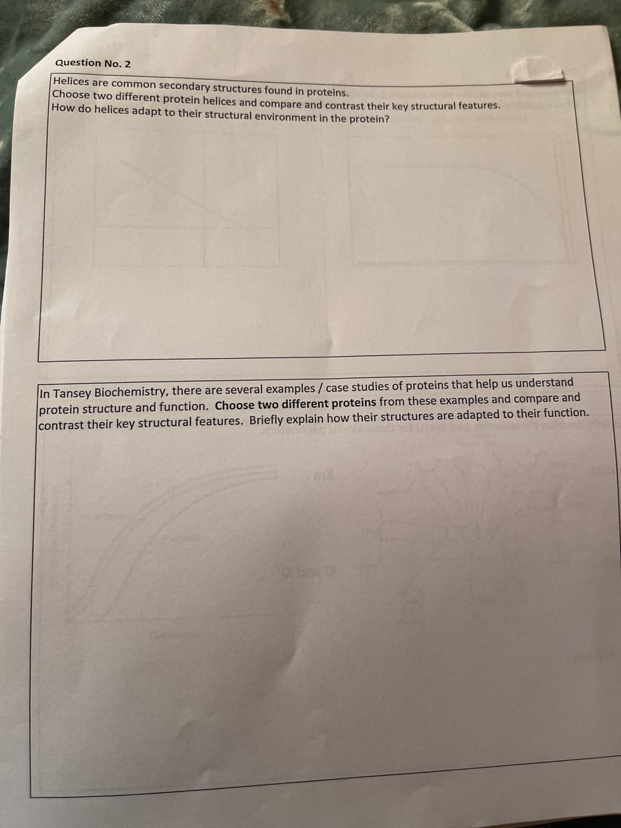 Question No. 2
Helices are common secondary structures found in proteins.
Choose two different protein helices and compare and contrast their key structural features.
How do helices adapt to their structural environment in the protein?
In Tansey Biochemistry, there are several examples / case studies of proteins that help us understand
protein structure and function. Choose two different proteins from these examples and compare and
contrast their key structural features. Briefly explain how their structures are adapted to their function.
