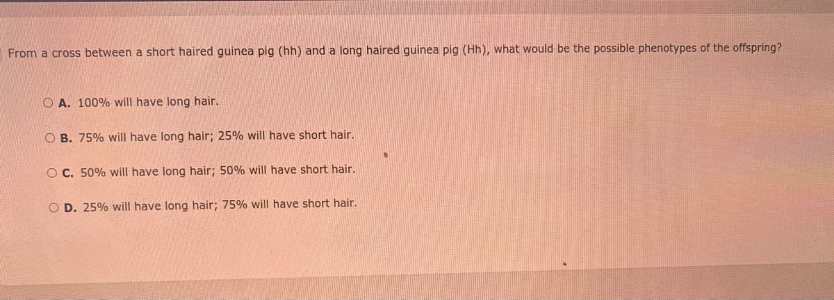 From a cross between a short haired guinea pig (hh) and a long haired guinea pig (Hh), what would be the possible phenotypes of the offspring?
O A. 100% will have long hair.
O B. 75% will have long hair; 25% will have short hair.
O C. 50% will have long hair; 50% will have short hair.
O D. 25% will have long hair; 75% will have short hair.
