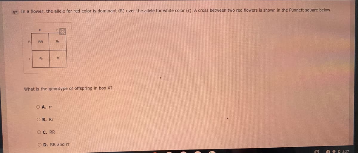 Ipt In a flower, the allele for red color is dominant (R) over the allele for white color (r). A cross between two red flowers is shown in the Punnett square below.
RR
Rr
Rr
What is the genotype of offspring in box X?
O A. rr
O B. Rr
O C. RR
O D. RR and rr
O 9 A 3:27
