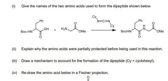 (i) Give the names of the two amino acids used to form the dipeptide shown below.
Cy,
N=C=N
Ph
Ph
H2N.
Вос-HN
HO
BocHN
OMe
OMe
(i) Explain why the amino acids were partially protected before being used in this reaction.
(i) Draw a mechanism to account for the formation of the dipeptide (Cy = cyclohexyl).
(iv) Re-draw the amino acid below in a Fischer projection.
