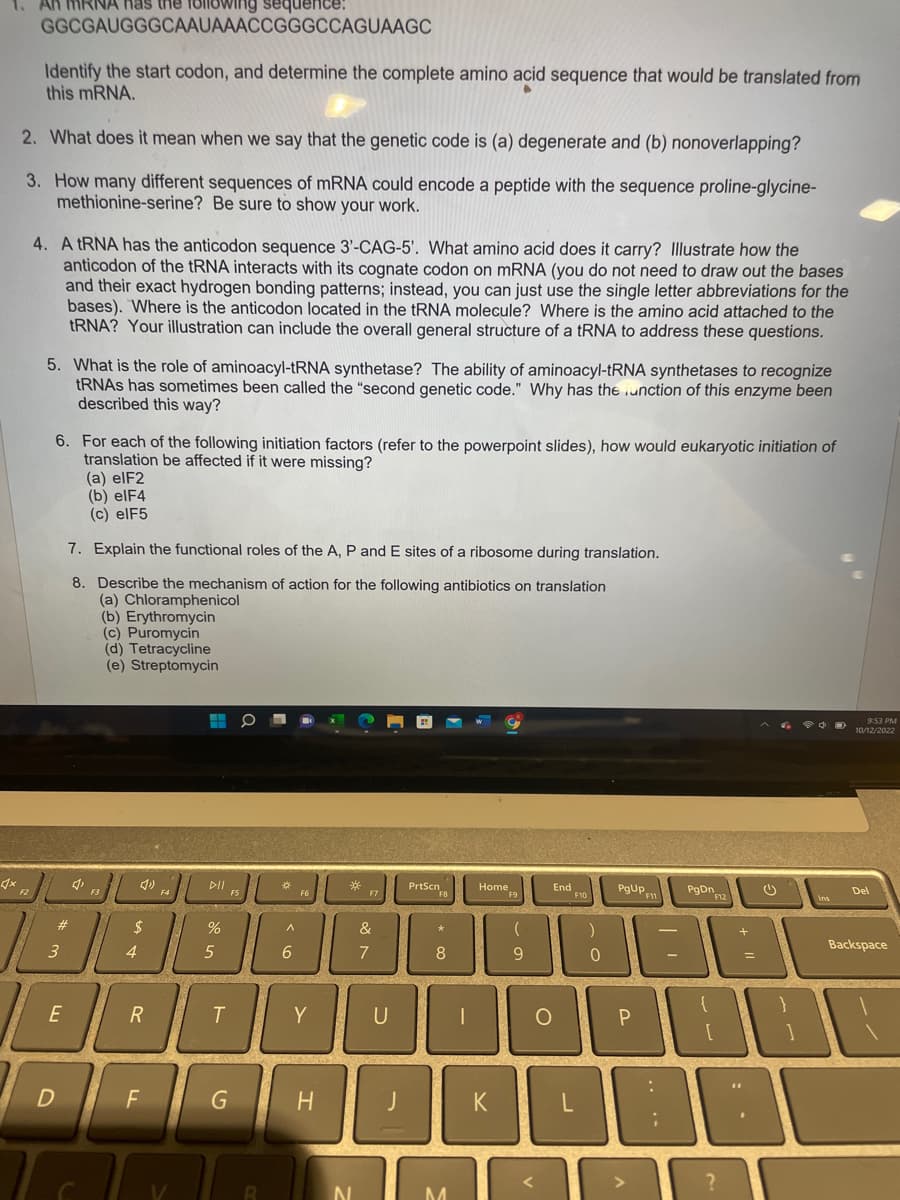 1. AR MRNA has the following sequence:
GGCGAUGGGCAAUAAACCGGGCCAGUAAGC
1x
Identify the start codon, and determine the complete amino acid sequence that would be translated from
this mRNA.
2. What does it mean when we say that the genetic code is (a) degenerate and (b) nonoverlapping?
3. How many different sequences of mRNA could encode a peptide with the sequence proline-glycine-
methionine-serine? Be sure to show your work.
F2
4. A tRNA has the anticodon sequence 3'-CAG-5'. What amino acid does it carry? Illustrate how the
anticodon of the tRNA interacts with its cognate codon on mRNA (you do not need to draw out the bases
and their exact hydrogen bonding patterns; instead, you can just use the single letter abbreviations for the
bases). Where is the anticodon located in the tRNA molecule? Where is the amino acid attached to the
tRNA? Your illustration can include the overall general structure of a tRNA to address these questions.
5. What is the role of aminoacyl-tRNA synthetase? The ability of aminoacyl-tRNA synthetases to recognize
tRNAs has sometimes been called the "second genetic code." Why has the unction of this enzyme been
described this way?
6. For each of the following initiation factors (refer to the powerpoint slides), how would eukaryotic initiation of
translation be affected if it were missing?
#
3
E
D
(a) elF2
(b) elF4
(c) elF5
7. Explain the functional roles of the A, P and E sites of a ribosome during translation.
8. Describe the mechanism of action for the following antibiotics on translation
(a) Chloramphenicol
(b) Erythromycin
4,
F3
(c) Puromycin
(d) Tetracycline
(e) Streptomycin
(11)
$
4
R
F
F4
H
DII
%
5
T
G
F5
B
*
A
6
F6
Y
H
*
N
F7
&
7
U
J
PrtScn
F8
8
C
M
Home
K
F9
(
9
O
End
F10
L
)
0
PgUp
F11
P
18
PgDn
F12
....
?
+
=
Ins
9:53 PM
10/12/2022
Del
Backspace