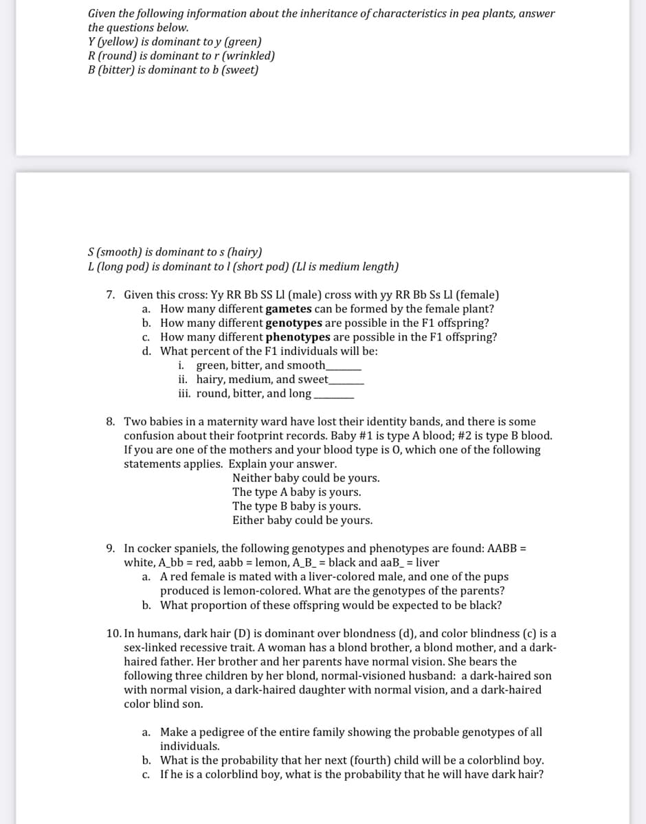 Given the following information about the inheritance of characteristics in pea plants, answer
the questions below.
Y (yellow) is dominant to y (green)
R (round) is dominant to r (wrinkled)
B (bitter) is dominant to b (sweet)
S (smooth) is dominant to s (hairy)
L (long pod) is dominant to 1 (short pod) (Ll is medium length)
7. Given this cross: Yy RR Bb SS LI (male) cross with yy RR Bb Ss Ll (female)
a. How many different gametes can be formed by the female plant?
b. How many different genotypes are possible in the F1 offspring?
c. How many different phenotypes are possible in the F1 offspring?
d. What percent of the F1 individuals will be:
i. green, bitter, and smooth
ii. hairy, medium, and sweet
iii. round, bitter, and long
8. Two babies in a maternity ward have lost their identity bands, and there is some
confusion about their footprint records. Baby #1 is type A blood; #2 is type B blood.
If you are one of the mothers and your blood type is 0, which one of the following
statements applies. Explain your answer.
Neither baby could be yours.
The type A baby is yours.
The type B baby is yours.
Either baby could be yours.
9. In cocker spaniels, the following genotypes and phenotypes are found: AABB =
white, A_bb = red, aabb = lemon, A_B_ = black and aaB_ = liver
a. A red female is mated with a liver-colored male, and one of the pups
produced is lemon-colored. What are the genotypes of the parents?
b. What proportion of these offspring would be expected to be black?
10. In humans, dark hair (D) is dominant over blondness (d), and color blindness (c) is a
sex-linked recessive trait. A woman has a blond brother, a blond mother, and a dark-
haired father. Her brother and her parents have normal vision. She bears the
following three children by her blond, normal-visioned husband: a dark-haired son
with normal vision, a dark-haired daughter with normal vision, and a dark-haired
color blind son.
a. Make a pedigree of the entire family showing the probable genotypes of all
individuals.
b. What is the probability that her next (fourth) child will be a colorblind boy.
c. If he is a colorblind boy, what is the probability that he will have dark hair?
