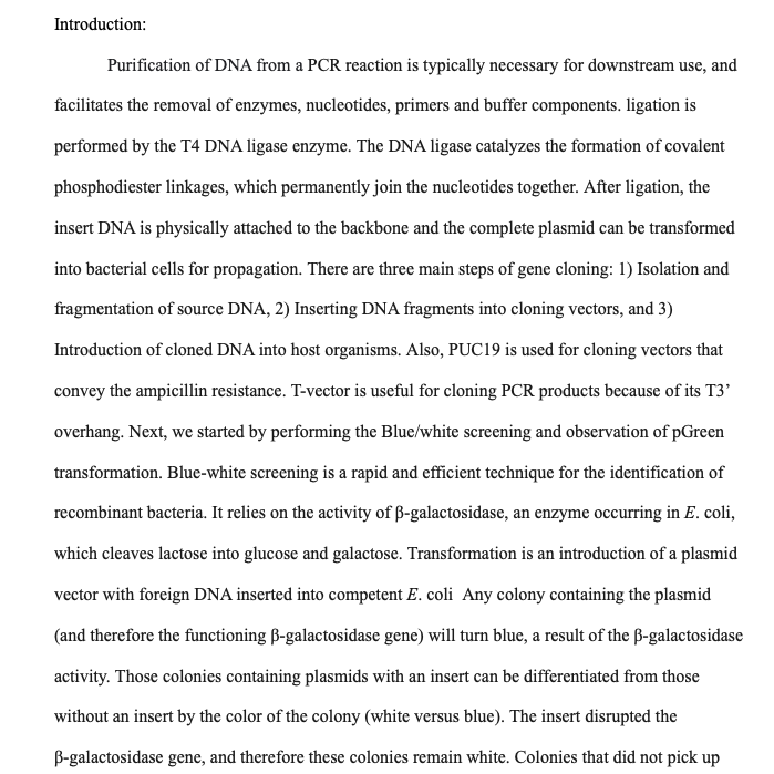 Introduction:
Purification of DNA from a PCR reaction is typically necessary for downstream use, and
facilitates the removal of enzymes, nucleotides, primers and buffer components. ligation is
performed by the T4 DNA ligase enzyme. The DNA ligase catalyzes the formation of covalent
phosphodiester linkages, which permanently join the nucleotides together. After ligation, the
insert DNA is physically attached to the backbone and the complete plasmid can be transformed
into bacterial cells for propagation. There are three main steps of gene cloning: 1) Isolation and
fragmentation of source DNA, 2) Inserting DNA fragments into cloning vectors, and 3)
Introduction of cloned DNA into host organisms. Also, PUC19 is used for cloning vectors that
convey the ampicillin resistance. T-vector is useful for cloning PCR products because of its T3'
overhang. Next, we started by performing the Blue/white screening and observation of pGreen
transformation. Blue-white screening is a rapid and efficient technique for the identification of
recombinant bacteria. It relies on the activity of ß-galactosidase, an enzyme occurring in E. coli,
which cleaves lactose into glucose and galactose. Transformation is an introduction of a plasmid
vector with foreign DNA inserted into competent E. coli Any colony containing the plasmid
(and therefore the functioning B-galactosidase gene) will turn blue, a result of the B-galactosidase
activity. Those colonies containing plasmids with an insert can be differentiated from those
without an insert by the color of the colony (white versus blue). The insert disrupted the
B-galactosidase gene, and therefore these colonies remain white. Colonies that did not pick up
