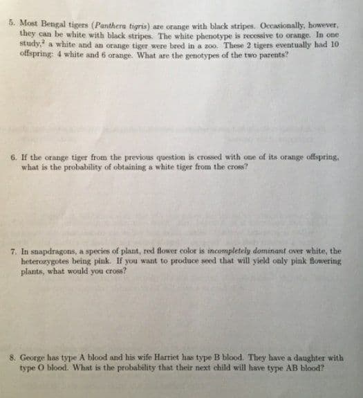 6. Most Bengal tigers (Panthera tigris) are orange with black stripes. Occasionally, however,
they can be white with black stripes. The white phenotype is recessive to orange. In one
study, a white and an orange tiger were bred in a zoo. These 2 tigers eventually bad 10
offspring: 4 white and 6 orange. What are the genotypes of the two parents?
6. If the orange tiger from the previous question is crossed with one of its orange offspring,
what is the probability of obtaining a white tiger from the cross?
7. In snapdragons, a species of plant, red flower color is incompletely dominant over white, the
heterozygotes being pink. If you want to produce seed that will yield only pink flowering
plants, what would you cross?
8. George has type A blood and his wife Harriet has type B blood. They have a daughter with
type O blood. What is the probability that their next child will have type AB blood?
