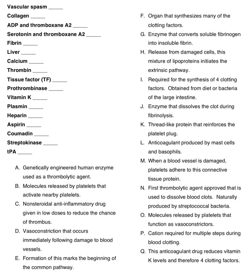 Vascular spasm
Collagen
F. Organ that synthesizes many of the
ADP and thromboxane A2.
clotting factors.
Serotonin and thromboxane A2
G. Enzyme that converts soluble fibrinogen
Fibrin
into insoluble fibrin.
Liver
H. Release from damaged cells, this
Calcium
mixture of lipoproteins initiates the
Thrombin
extrinsic pathway.
Tissue factor (TF)
I. Required for the synthesis of 4 clotting
Prothrombinase
factors. Obtained from diet or bacteria
Vitamin K.
of the large intestine.
Plasmin
J. Enzyme that dissolves the clot during
Heparin
fibrinolysis.
Aspirin
K. Thread-like protein that reinforces the
Coumadin
platelet plug.
Streptokinase
L. Anticoagulant produced by mast cells
tPA
and basophils.
M. When a blood vessel is damaged,
A. Genetically engineered human enzyme
platelets adhere to this connective
used as a thrombolytic agent.
tissue protein.
B. Molecules released by platelets that
N. First thrombolytic agent approved that is
activate nearby platelets.
used to dissolve blood clots. Naturally
C. Nonsteroidal anti-inflammatory drug
produced by streptococcal bacteria.
given in low doses to reduce the chance
O. Molecules released by platelets that
of thrombus.
function as vasoconstrictors.
D. Vasoconstriction that occurs
P. Cation required for multiple steps during
immediately following damage to blood
blood clotting.
vessels.
Q. This anticoagulant drug reduces vitamin
K levels and therefore 4 clotting factors.
E. Formation of this marks the beginning of
the common pathway.
