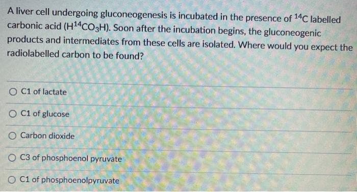 A liver cell undergoing gluconeogenesis is incubated in the presence of 14C labelled
carbonic acid (H14CO3H). Soon after the incubation begins, the gluconeogenic
products and intermediates from these cells are isolated. Where would you expect the
radiolabelled carbon to be found?
O C1 of lactate
O C1 of glucose
O Carbon dioxide
O C3 of phosphoenol pyruvate
O C1 of phosphoenolpyruvate
