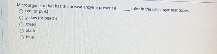 Microorganism that has the urease enzyme present a
O red (or pink)
O yellow (or peach)
color in the urea agar test tubes.
green
black
blue
