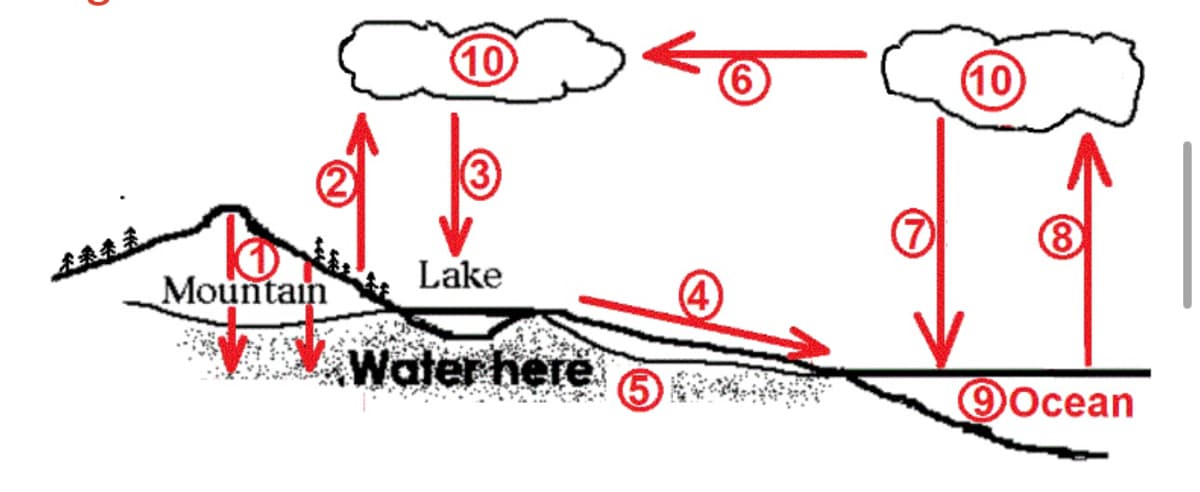 ***
Mountain
10
b
Lake
Water here
(4)
6
(10)
8
@Ocean