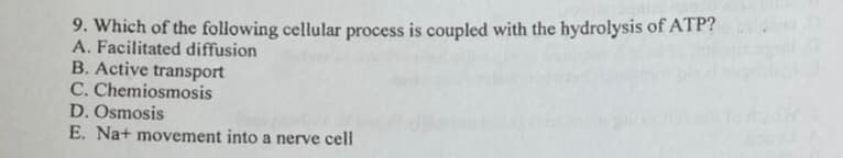 9. Which of the following cellular process is coupled with the hydrolysis of ATP?
A. Facilitated diffusion
B. Active transport
C. Chemiosmosis
D. Osmosis
E. Na+ movement into a nerve cell
