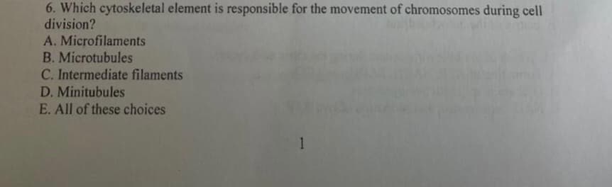6. Which cytoskeletal element is responsible for the movement of chromosomes during cell
division?
A. Microfilaments
B. Microtubules
C. Intermediate filaments
D. Minitubules
E. All of these choices
