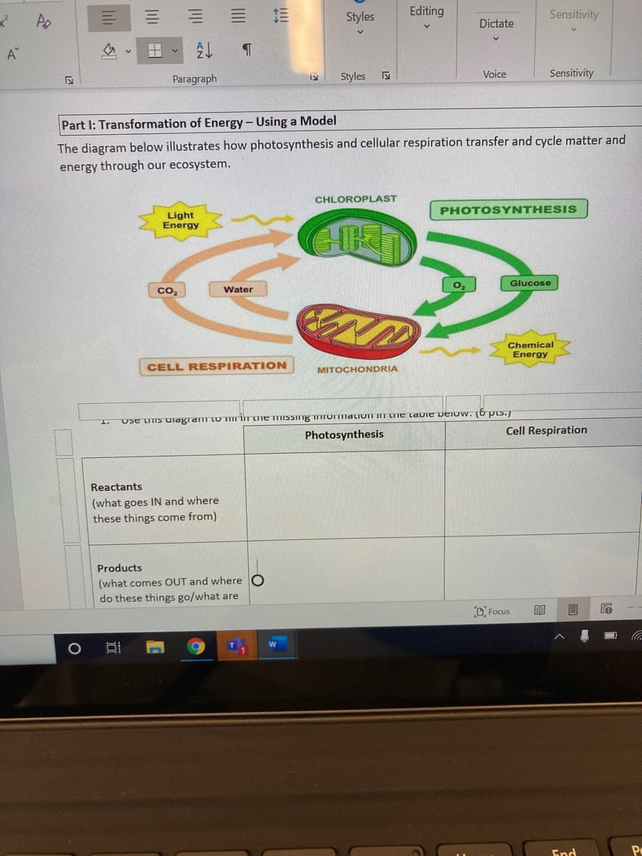 Styles
Editing
Sensitivity
Dictate
A
Paragraph
Styles
Voice
Sensitivity
Part I: Transformation of Energy- Using a Model
The diagram below illustrates how photosynthesis and cellular respiration transfer and cycle matter and
energy through our ecosystem.
CHLOROPLAST
PHOTOSYNTHESIS
Light
Energy
Glucose
со
Water
Chemical
Energy
CELL RESPIRATION
MITOCHONDRIA
1.
Use IS ulagram tU mrITne mISSngmTOmaLiOTITne laDie DeioW. (6 pts.J
Photosynthesis
Cell Respiration
Reactants
(what goes IN and where
these things come from)
Products
(what comes OUT and where O
do these things go/what are
D. Focus
目
End
III
三
近
