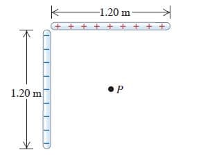 -1.20 m
+ + + + + + + + +
1.20 m
•P
