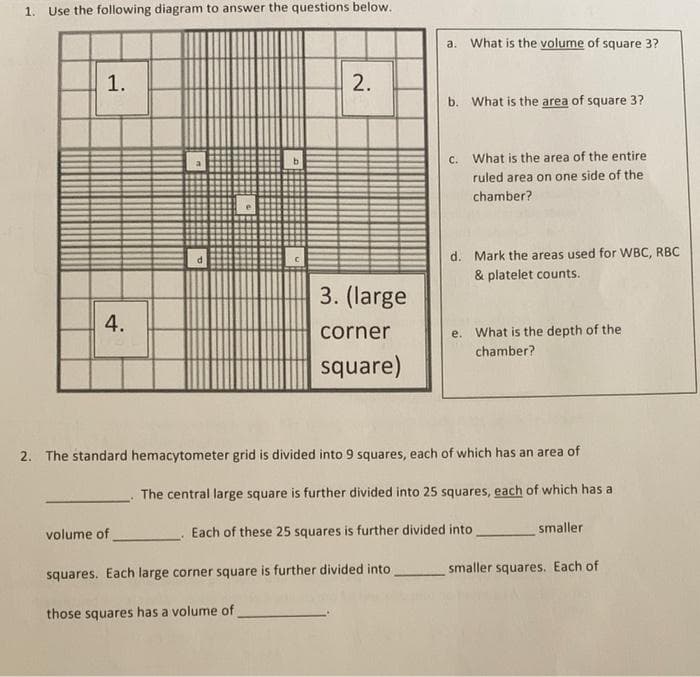 1. Use the following diagram to answer the questions below.
a. What is the volume of square 3?
b. What is the area of square 3?
c. What is the area of the entire
ruled area on one side of the
chamber?
d. Mark the areas used for WBC, RBC
& platelet counts.
3. (large
4.
corner
e. What is the depth of the
chamber?
square)
2. The standard hemacytometer grid is divided into 9 squares, each of which has an area of
The central large square is further divided into 25 squares, each of which has a
smaller
volume of
Each of these 25 squares is further divided into
smaller squares. Each of
squares. Each large corner square is further divided into
those squares has a volume of
2.
1.
