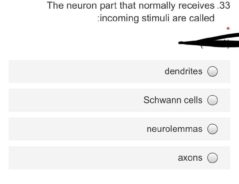 The neuron part that normally receives .33
:incoming stimuli are called
dendrites O
Schwann cells O
neurolemmas
axons O
