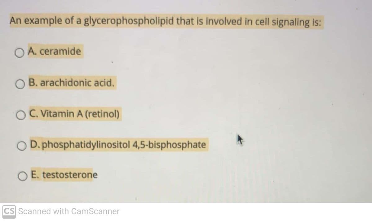 An example of a glycerophospholipid that is involved in cell signaling is:
O A. ceramide
O B. arachidonic acid.
OC. Vitamin A (retinol)
O D. phosphatidylinositol 4,5-bisphosphate
O E. testosterone
CS Scanned with CamScanner
