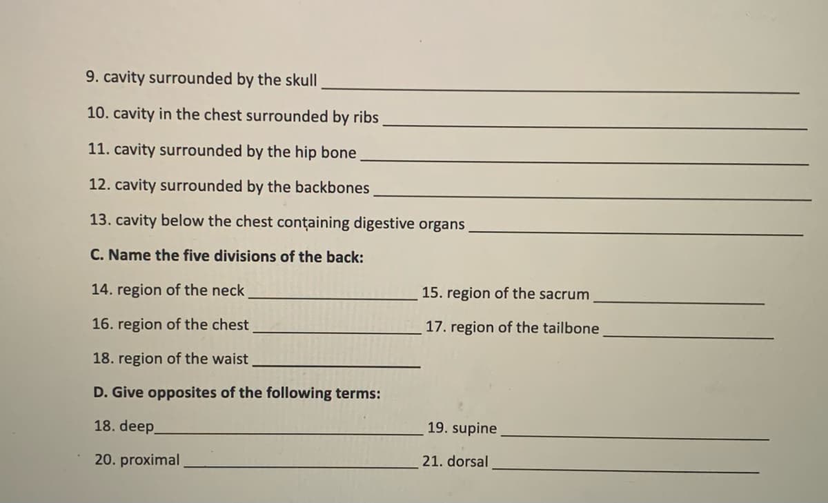 9. cavity surrounded by the skull
10. cavity in the chest surrounded by ribs
11. cavity surrounded by the hip bone
12. cavity surrounded by the backbones
13. cavity below the chest conțaining digestive organs
C. Name the five divisions of the back:
14. region of the neck
15. region of the sacrum
16. region of the chest
17. region of the tailbone
18. region of the waist
D. Give opposites of the following terms:
18. deep.
19. supine
20. proximal
21. dorsal
