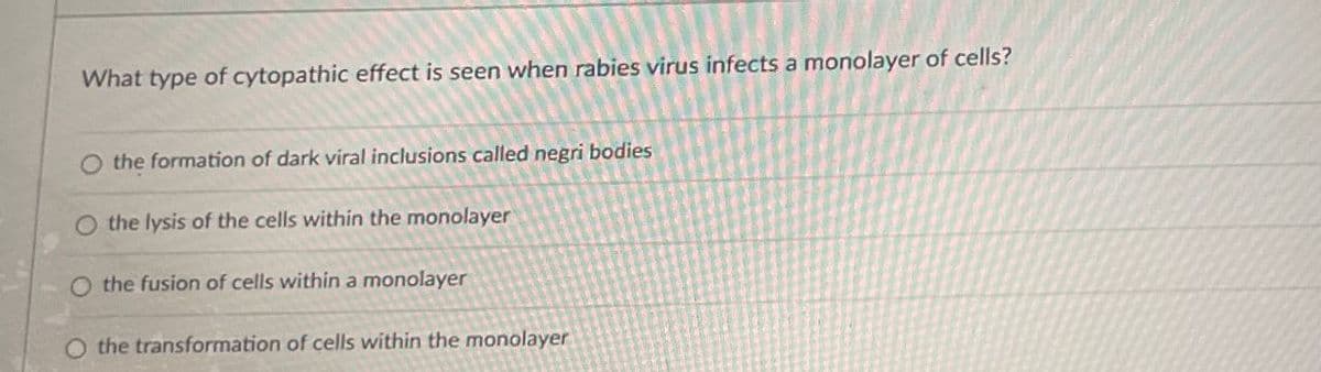 What type of cytopathic effect is seen when rabies virus infects a monolayer of cells?
O the formation of dark viral inclusions called negri bodies
O the lysis of the cells within the monolayer
O the fusion of cells within a monolayer
the transformation of cells within the monolayer