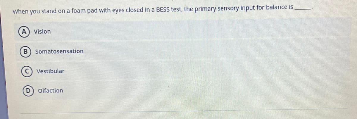 When you stand on a foam pad with eyes closed In a BESS test, the primary sensory input for balance is
A) Vision
В
Somatosensation
C) Vestibular
D) Olfaction
