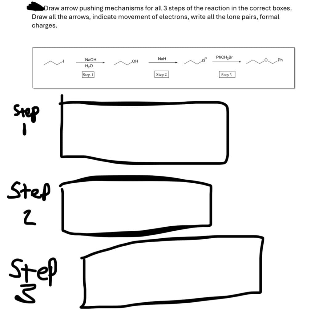 Draw arrow pushing mechanisms for all 3 steps of the reaction in the correct boxes.
Draw all the arrows, indicate movement of electrons, write all the lone pairs, formal
charges.
Step
Step
2
steppe
3
NaOH
H₂O
NaH
PhCH₂Br
OH
Step 1
Step 2
Step 3
Ph