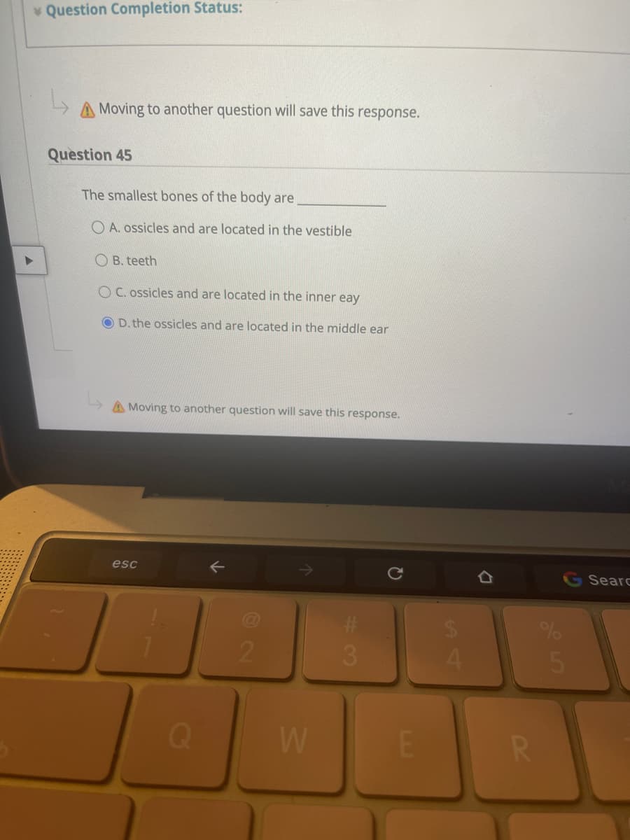 Question Completion Status:
A Moving to another question will save this response.
Question 45
The smallest bones of the body are
O A. ossicles and are located in the vestible
O B. teeth
O C. ossicles and are located in the inner eay
D. the ossicles and are located in the middle ear
A Moving to another question will save this response.
esc
Searc
%23
2
3.
4.
W
R
%A4
