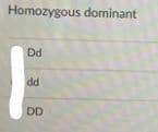 Homozygous dominant
Dd
DD
