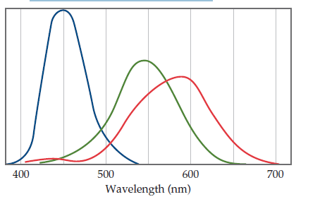 400
500
600
700
Wavelength (nm)
