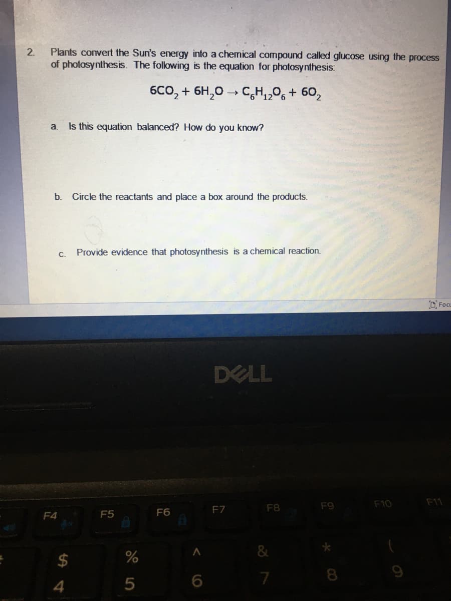 Plants convert the Sun's energy into a chemical compound called glucose using the process
of photosynthesis. The folowing is the equation for photosynthesis:
2.
6CO, + 6H,0 → C,H,,06 + 60,
a
Is this equation balanced? How do you know?
b.
Circle the reactants and place a box around the products.
C.
Provide evidence that photosynthesis is a chemical reaction.
D FOCL
DELL
F9
F10
F1
F7
F8
F4
F5
F6
$
7
8
4
5
