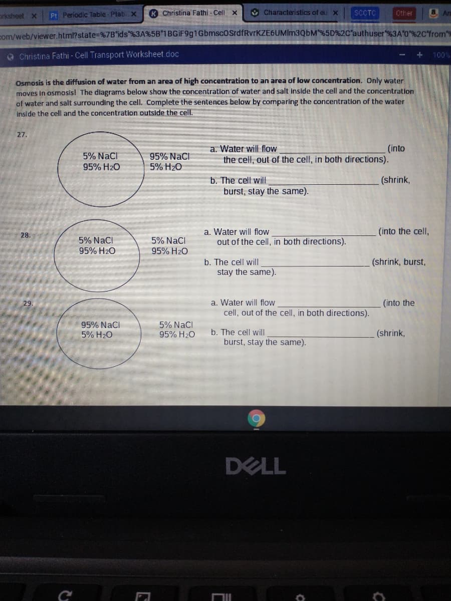 prksheet x
Pt Periodic Table - Ptab.. X
K Christina Fathi - Cell x
V Characteristics of eu X
SCCTC
Other
8 Ar
pom/web/viewer.html?state%=%7B"ids"%3A%5B"1BGiF9g1GbmscOSrdfRvrKZE6UMIm3QbM"%5D%2C"authuser%3A"0"%2C"froms
O Christina Fathi - Cell Transport Worksheet.doc
- +
100%
Osmosis is the diffusion of water from an area of high concentration to an area of low concentration. Only water
moves In osmosis! The diagrams below show the concentration of water and salt inside the cell and the concentration
of water and salt surrounding the cell. Complete the sentences below by comparing the concentration of the water
inside the cell and the concentration outside the cell.
27.
(into
the cell, out of the cell, in both directions).
a. Water will flow
5% NaCI
95% H2O
95% NaCl
5% H20
b. The cell will
(shrink,
burst, stay the same).
(into the cell,
a. Water will flow
out of the cell, in both directions).
28.
5% NaCI
5% NaCi
95% H20
95% H20
b. The cell wil|
(shrink, burst,
stay the same).
29.
a. Water will flow
(into the
cell, out of the cell, in both directions).
95% NaCl
5% NaCl
95% H20
5% H2O
b. The cell will
(shrink,
burst, stay the same).
DELL
