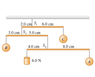 2.0 cm S, 6.0 cm
3.0 cm S, 5.0 cm
4.0 cm S3
8.0 cm
B
6.0 N
A
