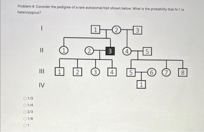 Problem 4: Consider the pedigree of a rare autosomal trait shown below. What is the probability that IV-1 is
heterozygous?
1
3
II
3
4
5
II
1
3.
4
8.
IV
01/3
01/4
O2/3
0 1/8
01
