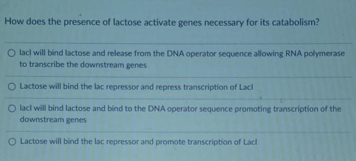 How does the presence of lactose activate genes necessary for its catabolism?
O lacl will bind lactose and release from the DNA operator sequence allowing RNA polymerase
to transcribe the downstream genes
O Lactose will bind the lac repressor and repress transcription of Lacl
O lacl will bind lactose and bind to the DNA operator sequence promoting transcription of the
downstream genes
O Lactose will bind the lac repressor and promote transcription of Lacl
