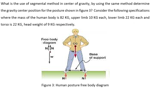 What is the use of segmental method in center of gravity, by using the same method determine
the gravity center position for the posture shown in figure 3? Consider the following specifications
where the mass of the human body is 82 KG, upper limb 10 KG each, lower limb 22 KG each and
torso is 22 KG, head weight of 9 KG respectively.
Fra-bady
diagram
Base
of support
w
Figure 3: Human posture free body diagram
