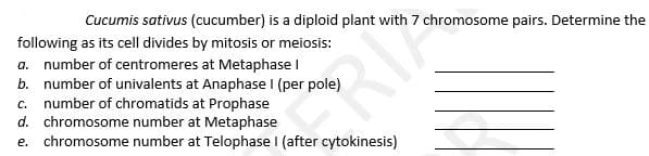 Cucumis sativus (cucumber) is a diploid plant with 7 chromosome pairs. Determine the
following as its cell divides by mitosis or meiosis:
a. number of centromeres at Metaphase I
b. number of univalents at Anaphase I (per pole)
c. number of chromatids at Prophase
d. chromosome number at Metaphase
e. chromosome number at Telophase I (after cytokinesis)
RI