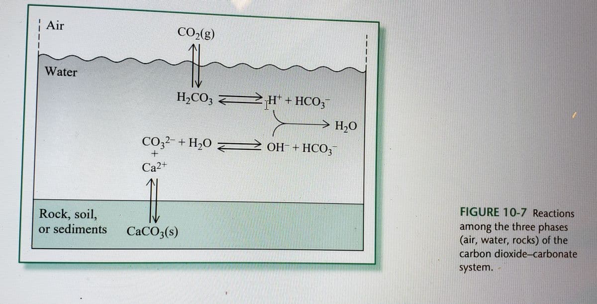 Air
Water
Rock, soil,
or sediments
CO₂(g)
H₂CO3
CO32- + H₂O
+
Ca2+
AL
CaCO3(s)
H + HCO3
OH + HCO3
H₂O
FIGURE 10-7 Reactions
among the three phases
(air, water, rocks) of the
carbon dioxide-carbonate
system.