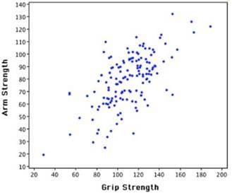 140
130
120
110
100
90
80
70
60
50
40-
30
20
10
20
40
60
80
100
120
140
160
180 200
Grip Strength
Arm Strength
