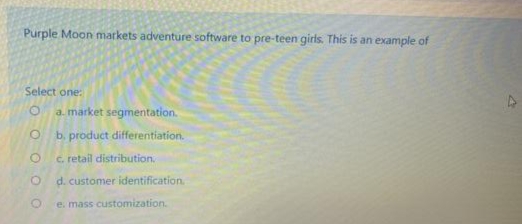 Purple Moon markets adventure software to pre-teen girls. This is an example of
Select one:
a. market segmentation.
b. product differentiation.
c. retail distribution.
d. customer identification.
e. mass customization.
