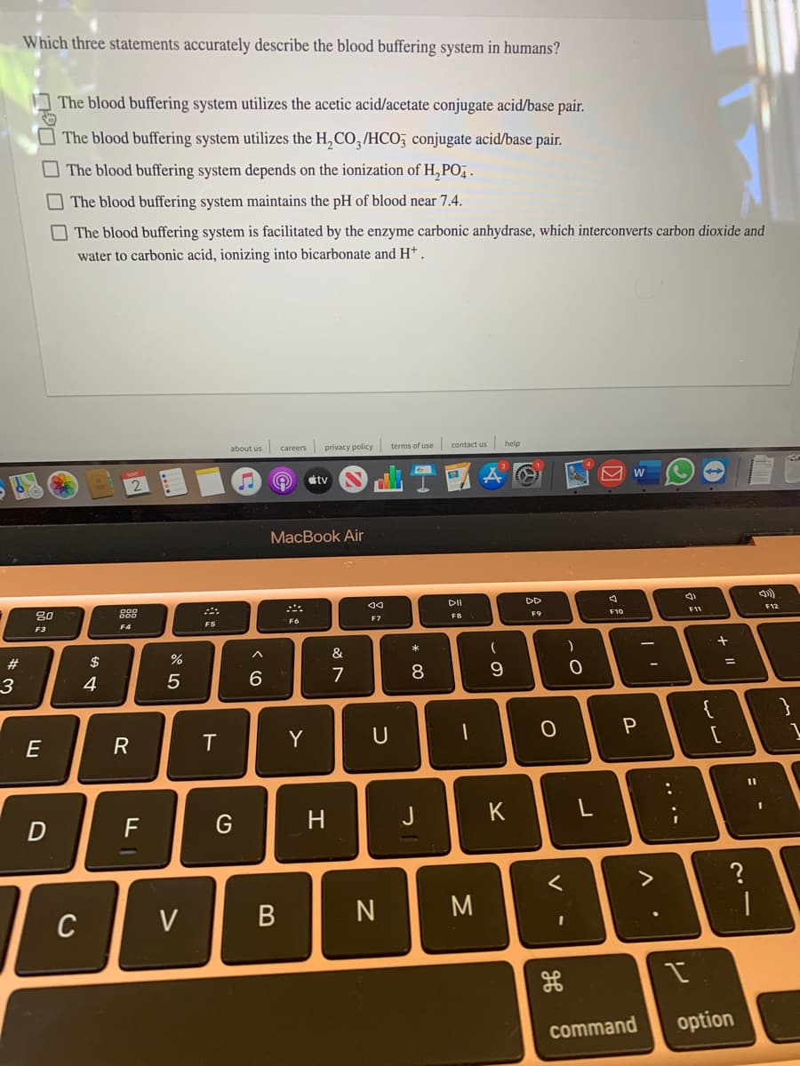 Which three statements accurately describe the blood buffering system in humans?
The blood buffering system utilizes the acetic acid/acetate conjugate acid/base pair.
The blood buffering system utilizes the H, CO,/HCO; conjugate acid/base pair.
The blood buffering system depends on the ionization of H, PO,.
O The blood buffering system maintains the pH of blood near 7.4.
O The blood buffering system is facilitated by the enzyme carbonic anhydrase, which interconverts carbon dioxide and
water to carbonic acid, ionizing into bicarbonate and H† .
about us careers privacy policy terms of use contact us help
2
étv
MacBook Air
DI
DD
888
F12
F7
F8
F9
F10
F3
F4
F5
F6
#
$
%
&
3
4
7
8.
{
E
R
T
Y
D
F
G
H
J
K
C
V
M
command
option
.. .-
レ
一
B
PO O O O
