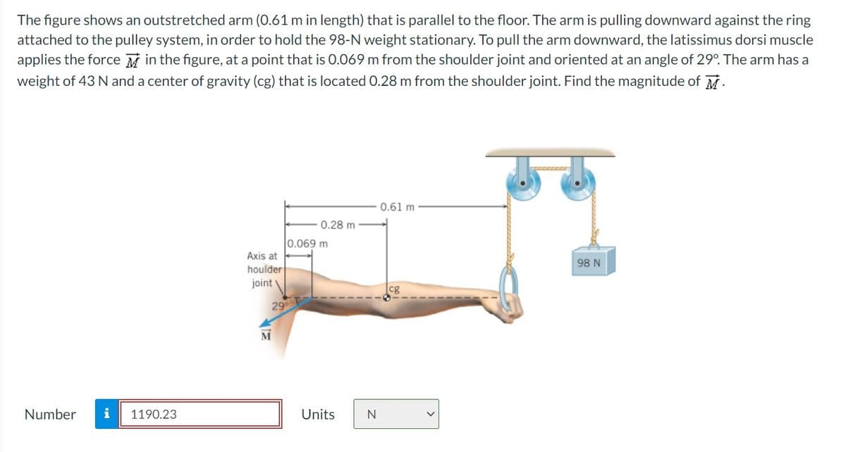 The figure shows an outstretched arm (0.61 m in length) that is parallel to the floor. The arm is pulling downward against the ring
attached to the pulley system, in order to hold the 98-N weight stationary. To pull the arm downward, the latissimus dorsi muscle
applies the force in the figure, at a point that is 0.069 m from the shoulder joint and oriented at an angle of 29°. The arm has a
weight of 43 N and a center of gravity (cg) that is located 0.28 m from the shoulder joint. Find the magnitude of M.
0.61 m
0.28 m
0.069 m
Axis at
houlder
joint\
29°
M
Number i 1190.23
Units
N
cg
98 N