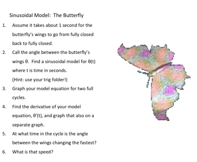 Sinusoidal Model: The Butterfly
1. Assume it takes about 1 second for the
butterfly's wings to go from fully closed
back to fully closed.
2. Call the angle between the butterfly's
wings 0. Find a sinusoidal model for 0(t)
where t is time in seconds.
(Hint: use your trig folder!)
3. Graph your model equation for two full
cycles.
4. Find the derivative of your model
equation, 0'(t), and graph that also on a
separate graph.
5. At what time in the cycle is the angle
between the wings changing the fastest?
6. What is that speed?
