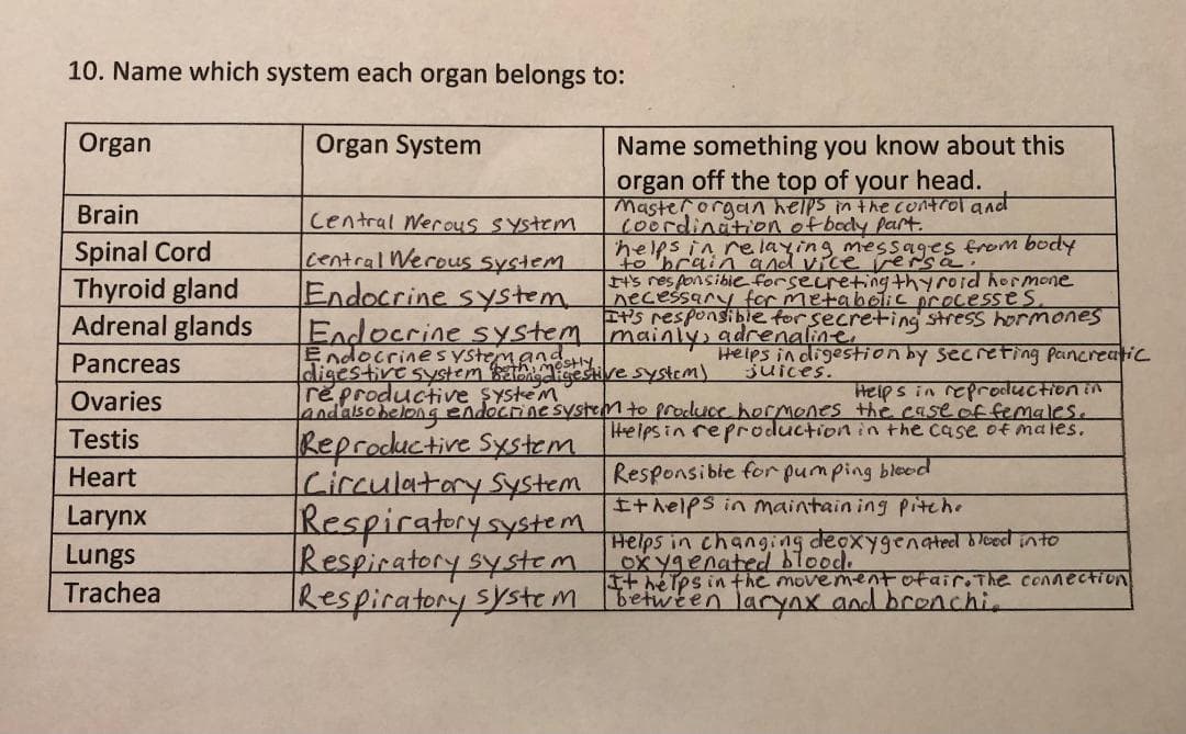 10. Name which system each organ belongs to:
Organ
Organ System
Name something you know about this
organ off the top of your head.
Masterorgan helps in the control and
coordination of body part.
helps in e laying messages frem body
to 'brain and vicerersa.
t's res ponsibie forsecreting thyroid hormone
necessary for
ES responsible for secreting stress hormones
Brain
Central Werous System
Spinal Cord
Thyroid gland
Adrenal glands
lcentral Werows System
Endocrine system
metabolic
processes
Endocrine system mainly, adrenaline,
EndocrinesYSTMKMere system)
digestivesystem
reproductive şYstem
andalsohelong endocrine system to produuce hormones the case offemales.
Pancreas
Heips indigestion by secreting Pancreatic
juices.
mostly
Ovaries
Heips in reproduction in
Helpsin reproduction in the case of males.
Reproductive System
Circulataysystem
Respiratorysystem
Respiratorysystem
IRespiratory sstem Between larynx and brenchi
Testis
Responsible for pumping bleod
It helps in maintain
Heart
Pitche
Larynx
Lungs
Helps in changing deoxygenated bloed into
Ox ygenated blood.
It helps in the movementotair, The connection
Trachea
