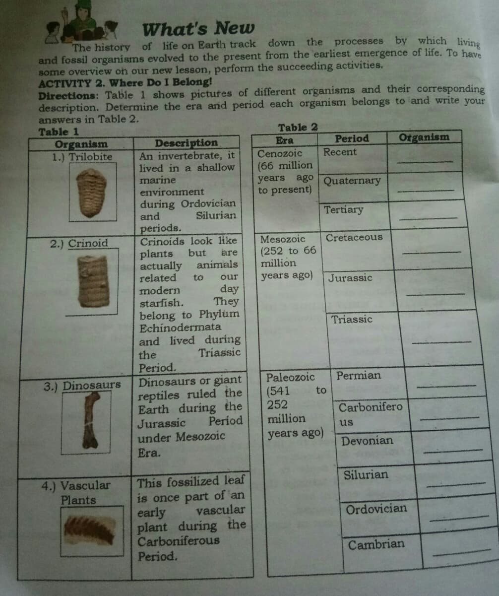 What's New
The history of life on Earth track down
the
processes by which living
and fossil organisms evolved to the present from the earliest emergence of life. To have
some overview on our new lesson, perform the succeeding activities.
ACTIVITY 2. Where Do I Belong!
Directions: Table 1 shows pictures of different organisms and their corresponding
description. Determine the era and period each organism belongs to and write your
answers in Table 2.
Table 1
Table 2
Description
An invertebrate, it
lived in a shallow
marine
environment
Period
Organism
1.) Trilobite
Era
Organism
Cenozoic
Recent
(66 million
years ago
to present)
Quaternary
during Ordovícian
and
Silurian
Tertiary
periods.
Crinoids look like
plants
actually
related
modern
starfish.
Mesozoic
(252 to 66
million
2.) Crinoid
Cretaceous
but
animals
are
to
years ago)
our
Jurassic
day
They
belong to Phylum
Echinodernata
and lived during
Triassic
Triassic
the
Period.
Dinosaurs or giant
reptiles ruled the
Earth during the
Jurassic
Paleozoic
(541
252
million
Permian
3.) Dinosaurs
to
Carbonifero
Period
us
under Mesozoic
years ago)
Devonian
Era.
Silurian
4.) Vascular
Plants
This fossilized leaf
is once part of an
early
plant during the
Carboniferous
Period.
vascular
Ordovician
Cambrian
