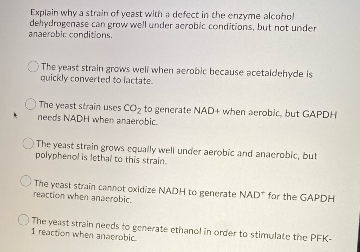 +
Explain why a strain of yeast with a defect in the enzyme alcohol
dehydrogenase can grow well under aerobic conditions, but not under
anaerobic conditions.
The yeast strain grows well when aerobic because acetaldehyde is
quickly converted to lactate.
The yeast strain uses CO₂ to generate NAD+ when aerobic, but GAPDH
needs NADH when anaerobic.
The yeast strain grows equally well under aerobic and anaerobic, but
polyphenol is lethal to this strain.
The yeast strain cannot oxidize NADH to generate NAD+ for the GAPDH
reaction when anaerobic.
The yeast strain needs to generate ethanol in order to stimulate the PFK-
1 reaction when anaerobic.