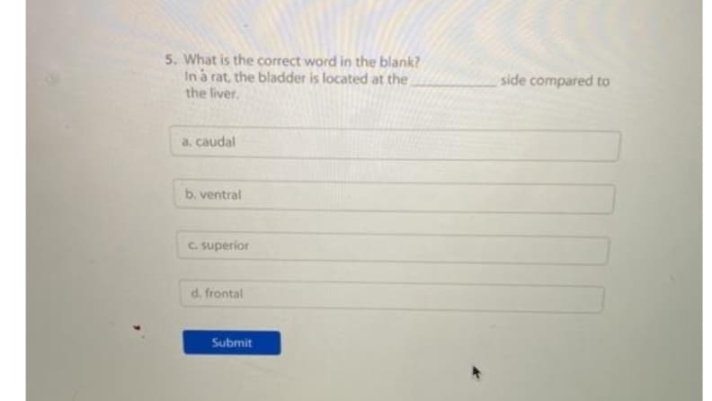 5. What is the correct word in the blank?
In à rat, the bladder is located at the.
the liver.
side compared to
a, caudal
b. ventral
C. superior
d. frontal
Submit
