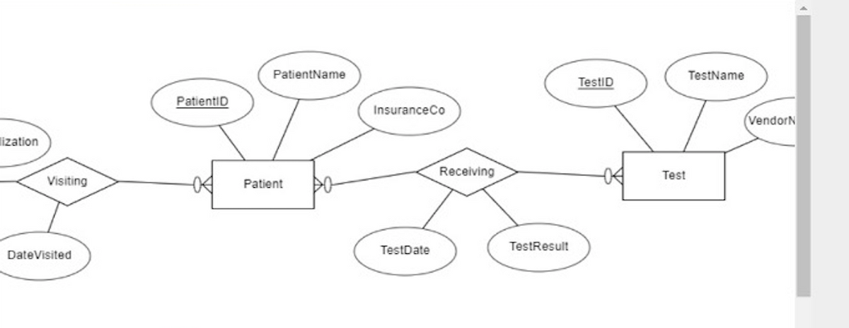 lization
Visiting
DateVisited
PatientID
PatientName
Patient
Insurance Co
TestDate
Receiving
TestResult
TestID
Test
TestName
VendorN