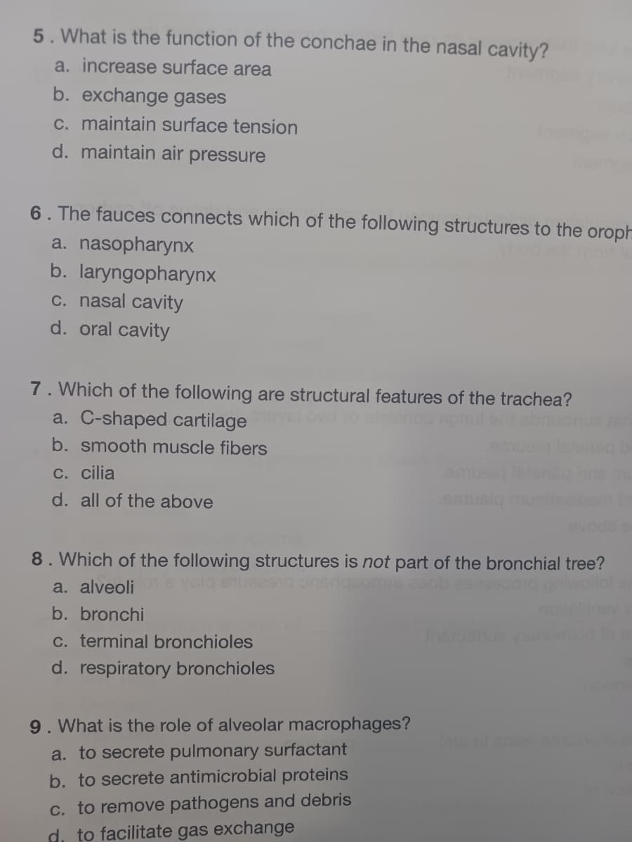 5. What is the function of the conchae in the nasal cavity?
a. increase surface area
b. exchange gases
c. maintain surface tension
d. maintain air pressure
6. The faucess connects which of the following structures to the oroph
a. nasopharynx
b. laryngopharynx
c. nasal cavity
d. oral cavity
7. Which of the following are structural features of the trachea?
a. C-shaped cartilage wto allenco aon
b. smooth muscle fibers
C. cilia
d. all of the above
8. Which of the following structures is not part of the bronchial tree?
a. alveoli
b.
ronchi
C. terminal bronchioles
d. respiratory bronchioles
9. What is the role of alveolar macrophages?
a. to secrete pulmonary surfactant
b. to secrete antimicrobial proteins
C. to remove pathogens and debris
d. to facilitate gas exchange
