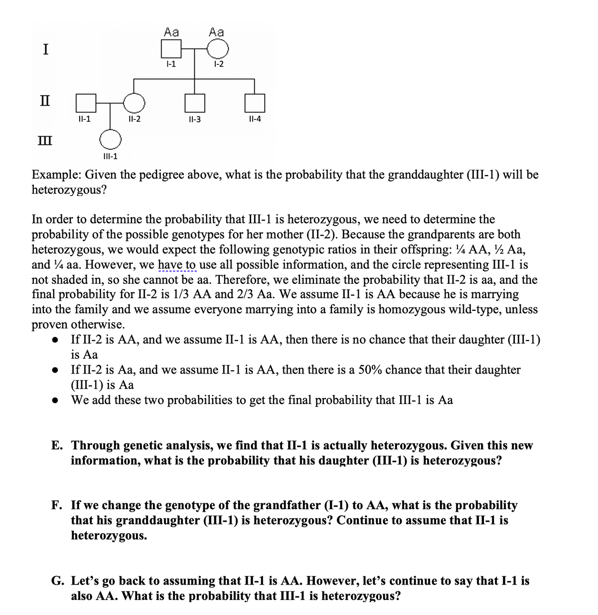 I
II
III
II-1
11-2
Aa
1-1
11-3
Aa
1-2
II-4
III-1
Example: Given the pedigree above, what is the probability that the granddaughter (III-1) will be
heterozygous?
In order to determine the probability that III-1 is heterozygous, we need to determine the
probability of the possible genotypes for her mother (II-2). Because the grandparents are both
heterozygous, we would expect the following genotypic ratios in their offspring: ¼ AA, ½ Aa,
and 14 aa. However, we have to use all possible information, and the circle representing III-1 is
not shaded in, so she cannot be aa. Therefore, we eliminate the probability that II-2 is aa, and the
final probability for II-2 is 1/3 AA and 2/3 Aa. We assume II-1 is AA because he is marrying
into the family and we assume everyone marrying into a family is homozygous wild-type, unless
proven otherwise.
If II-2 is AA, and we assume II-1 is AA, then there is no chance that their daughter (III-1)
is Aa
If II-2 is Aa, and we assume II-1 is AA, then there is a 50% chance that their daughter
(III-1) is Aa
We add these two probabilities to get the final probability that III-1 is Aa
E. Through genetic analysis, we find that II-1 is actually heterozygous. Given this new
information, what is the probability that his daughter (III-1) is heterozygous?
F. If we change the genotype of the grandfather (I-1) to AA, what is the probability
that his granddaughter (III-1) is heterozygous? Continue to assume that II-1 is
heterozygous.
G. Let's go back to assuming that II-1 is AA. However, let's continue to say that I-1 is
also AA. What is the probability that III-1 is heterozygous?