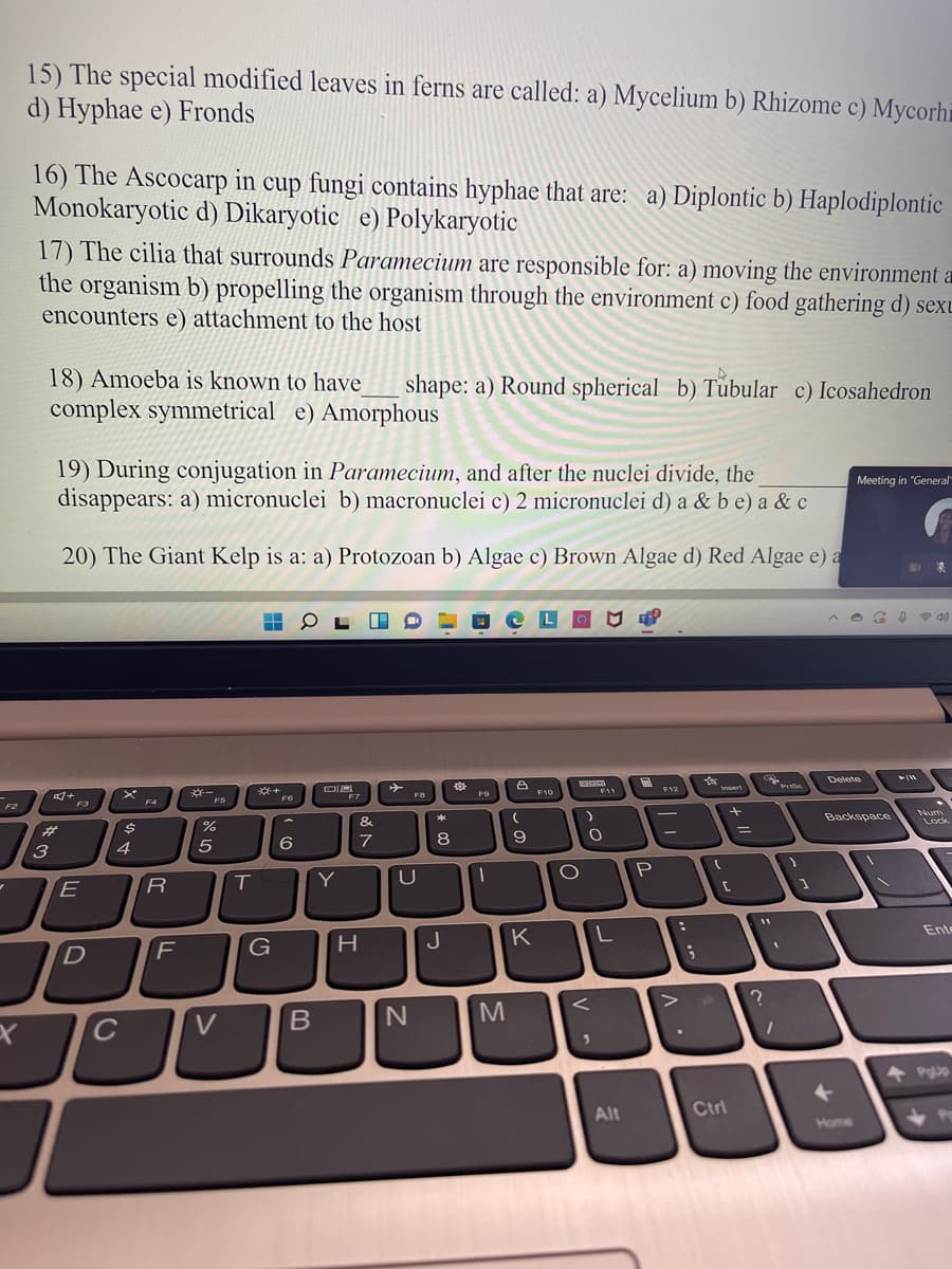 15) The special modified leaves in ferns are called: a) Mycelium b) Rhizome c) Mycorhi
d) Hyphae e) Fronds
16) The Ascocarp in cup fungi contains hyphae that are: a) Diplontic b) Haplodiplontic
Monokaryotic d) Dikaryotic e) Polykaryotic
17) The cilia that surrounds Paramecium are responsible for: a) moving the environment a
the organism b) propelling the organism through the environment c) food gathering d) sexu
encounters e) attachment to the host
18) Amoeba is known to have
complex symmetrical e) Amorphous
shape: a) Round spherical b) Tubular c) Icosahedron
19) During conjugation in Paramecium, and after the nuclei divide, the
disappears: a) micronuclei b) macronuclei c) 2 micronuclei d) a & b e) a & c
Meeting in "General"
20) The Giant Kelp is a: a) Protozoan b) Algae c) Brown Algae d) Red Algae e) a
Delete
F12
Vnaert
一
F5
F10
F11
F7
F8
F9
F3
F4
4
F2
Num
&
*
Backspace
Lock
23
3
4
5
6
7
8
R
Y
Ente
H
J
K
C
Alt
Ctrl
Home
O
ト
gא
D.
